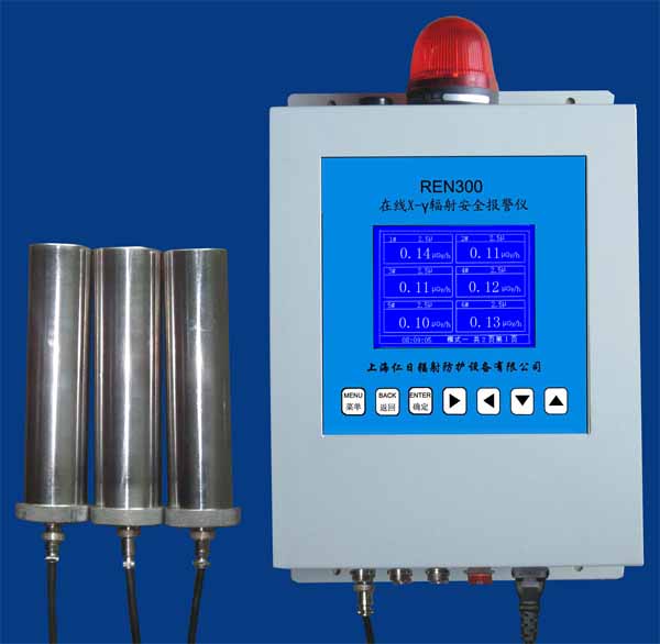 REN300 �̶�ʽ���䱨����